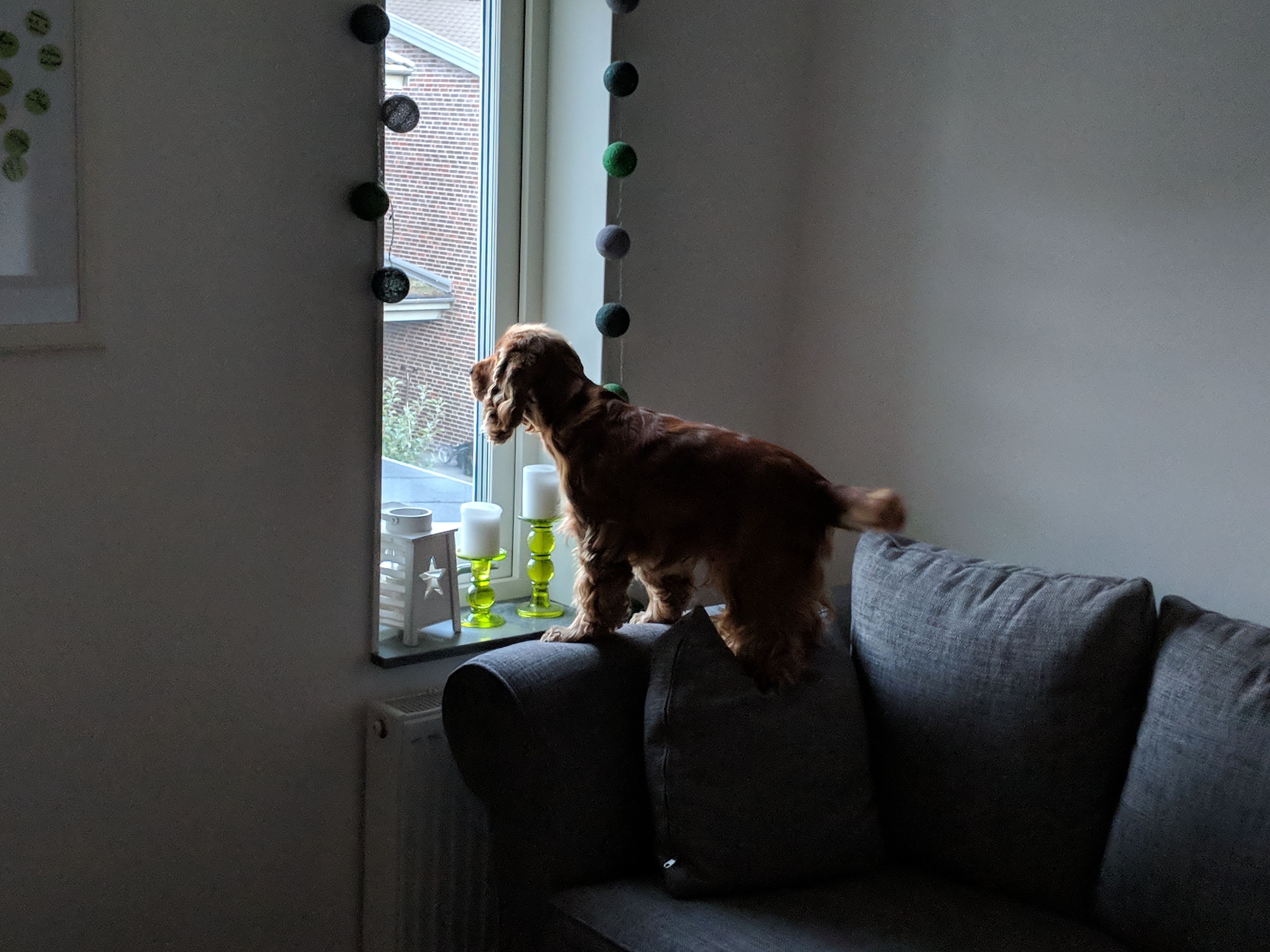 Alfons